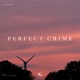 Perfect Crime Single