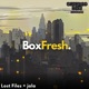 BoxFresh Single
