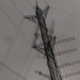 TELEMETRY Single