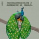 Phumelela feat Vee Single