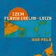 Sua Pele Single