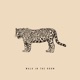 Walk in the Room Single