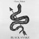 Black Snake feat Satsang Max Ribner Katie Buxton Casey Kalmenson Single