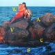 W A V E S Single