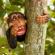 Baboon Single