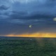 vastness Single