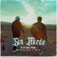 Sin Miedo A Lo Que Pase feat Bilo MV Single