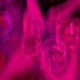 Rip Klub 23 feat h tex deyluvkirby Single