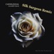 Calmer Seas feat Silk Surgeon Single
