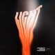 Licht Single