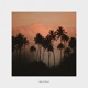 Back to Brazil Single