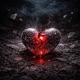 Fragile Single