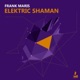 Elektric Shaman EP