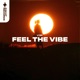 Feel the Vibe Single