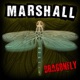 Dragonfly EP