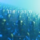 The Crew Single