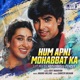 Hum Apni Mohabbat Ka Lofi Mix Single