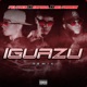 Iguazu Remix Single