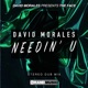Needin U Stereo Dub EP feat The Face
