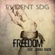 Freedom feat Joshua Kriese Single