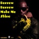 Borrow Borrrow Make Me Shine Single