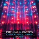 Drum Bass Dance Hall Vibes 2025
