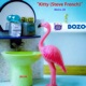 Kitty Steve French Single