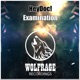 Examination Single