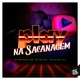 Play na Sacanagem Single
