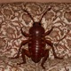 CUCARACHA Single