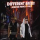 DIFFERENT BREEZE feat KNNY Single