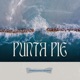 Punta Pie Radio Edit Single