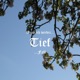Tief feat Niclov Single