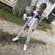 Prove a Point feat Slime Dollaz Single