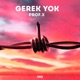 Gerek Yok Single