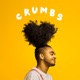 Crumbs feat Blush ko Single