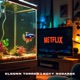 Netflix Single
