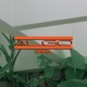 Algo Single