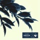 Escape to You Remixes Single