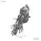 Nativo Single
