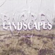 Barren Landscapes Single