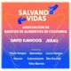 Salvando Vidas feat David Kawooq Paola Vargas Lucia Vargas Martinika Subcantante Eka Gordom Single