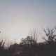 Daydream Single