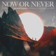 Now or Never Single