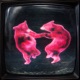 Dancing Bears Single