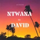 Ntwana ka David Single