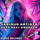 Deep Sexy Grooves feat Tuurk