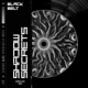 Shadow Secrets Single