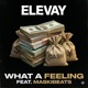 What A Feeling feat Maskibeats Single