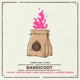 BANDICOOT feat Tayko Veztalone Ibzen Single